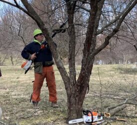 02.24.2023 shawn with pole saw