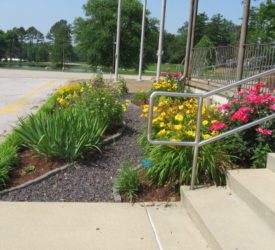 Administration-Building-Entrance