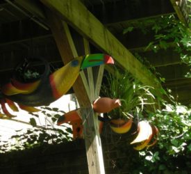 Back-porch-planters