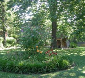 Butterfly-Bush-and-Daylilies