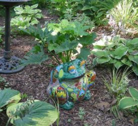 Ceramic Toad