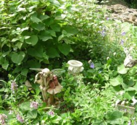 Fairy-watching-over-her-plants