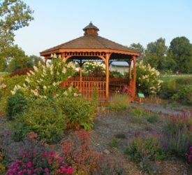 Garden-in-the-Round