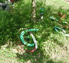 Gourds-painted-by-Sharon