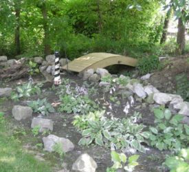 Hosta-shade-bed