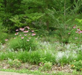 Island-Garden