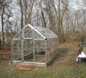 Joan-Davids-New-Greenhouse