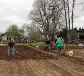 MGDG_PlantingVeggies1