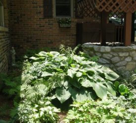 Partial-Shade-bed