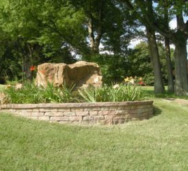 Rock-and-Daylilies