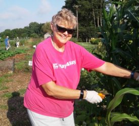 SWIMGA 2019 Veggie Harvest 1