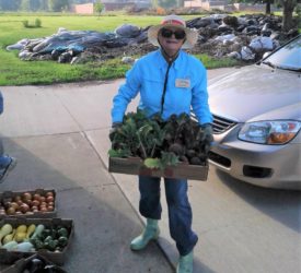 SWIMGA 2019 Veggie Harvest 2