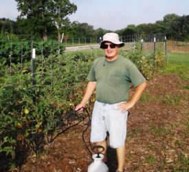 SWIMGA 2019 Veggie Harvest