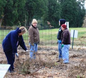 SWIMGA 2019 Veggie takedown