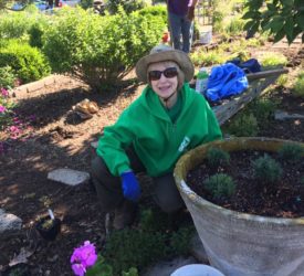 SensoryGardenWorkers_Luann051317