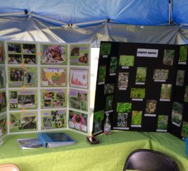 The first 2 photos (0772 and 0773) show posters with photos and other information on plants and butterflies at the Arboretum that we used for education.