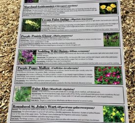 file1-8