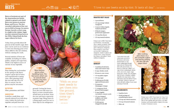 SWIMGA Cookbook - Image 3