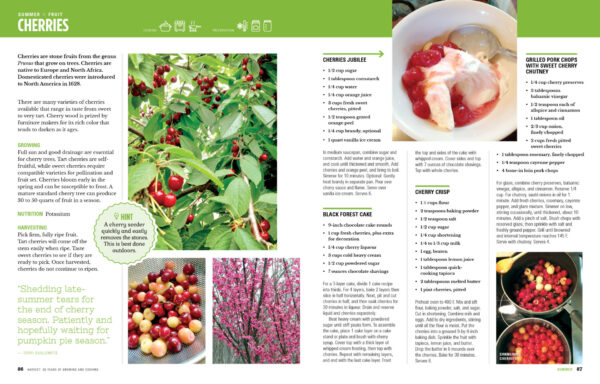 SWIMGA Cookbook - Image 4