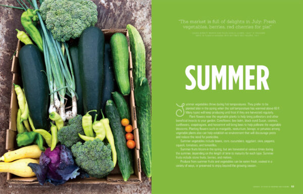 SWIMGA Cookbook - Image 9