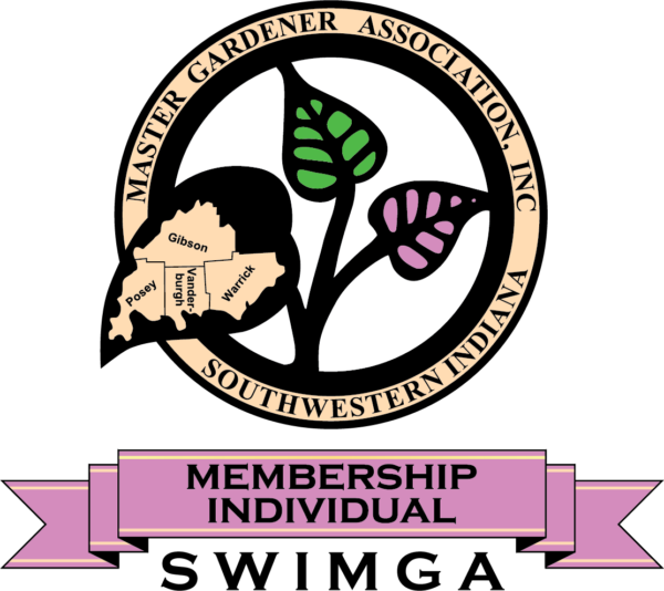 SWIMGA Membership - Individual